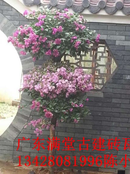 东莞同沙客户7